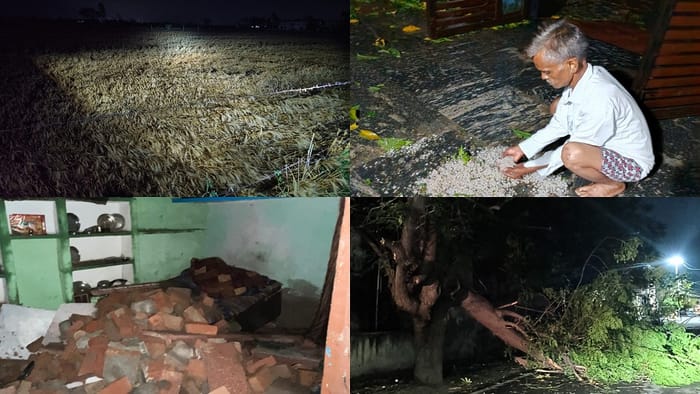 Storm and Hailstorm Destroy Wheat Crops Farmers in Crisis