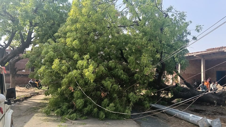 Crops Destroyed by Storms and Rain Power Out in 350 Villages in UP