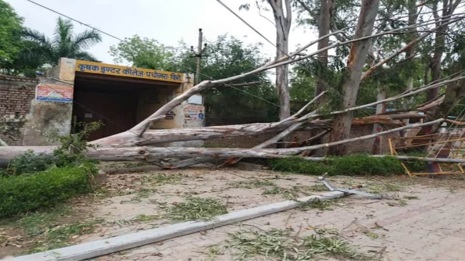 Crops Destroyed by Storms and Rain Power Out in 350 Villages in UP