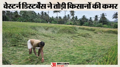 Storm and Rain Lash Rajasthan, Crops Damaged; Alert Issued in 25 Districts