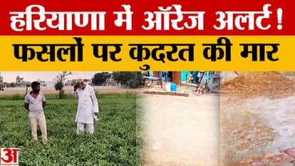 Change in weather in Haryana: Rain, hailstorm and storm alert, farmers' worries increase