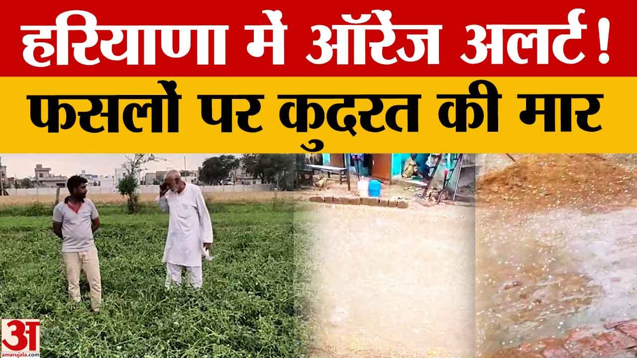 हरियाणा में बदला मौसम: बारिश, ओलावृष्टि और आंधी का अलर्ट, किसानों की बढ़ी चिंता