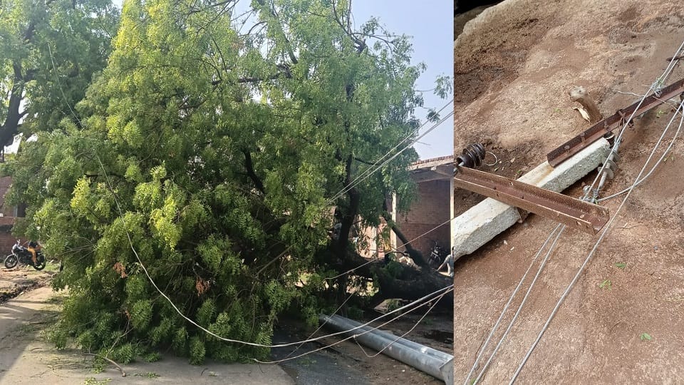 Crops Destroyed by Storms and Rain Power Out in 350 Villages in UP