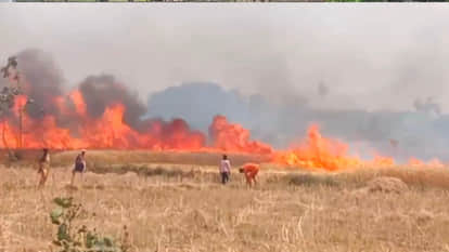 Fires raged across several police station areas in Gorakhpur on the same day hindi news