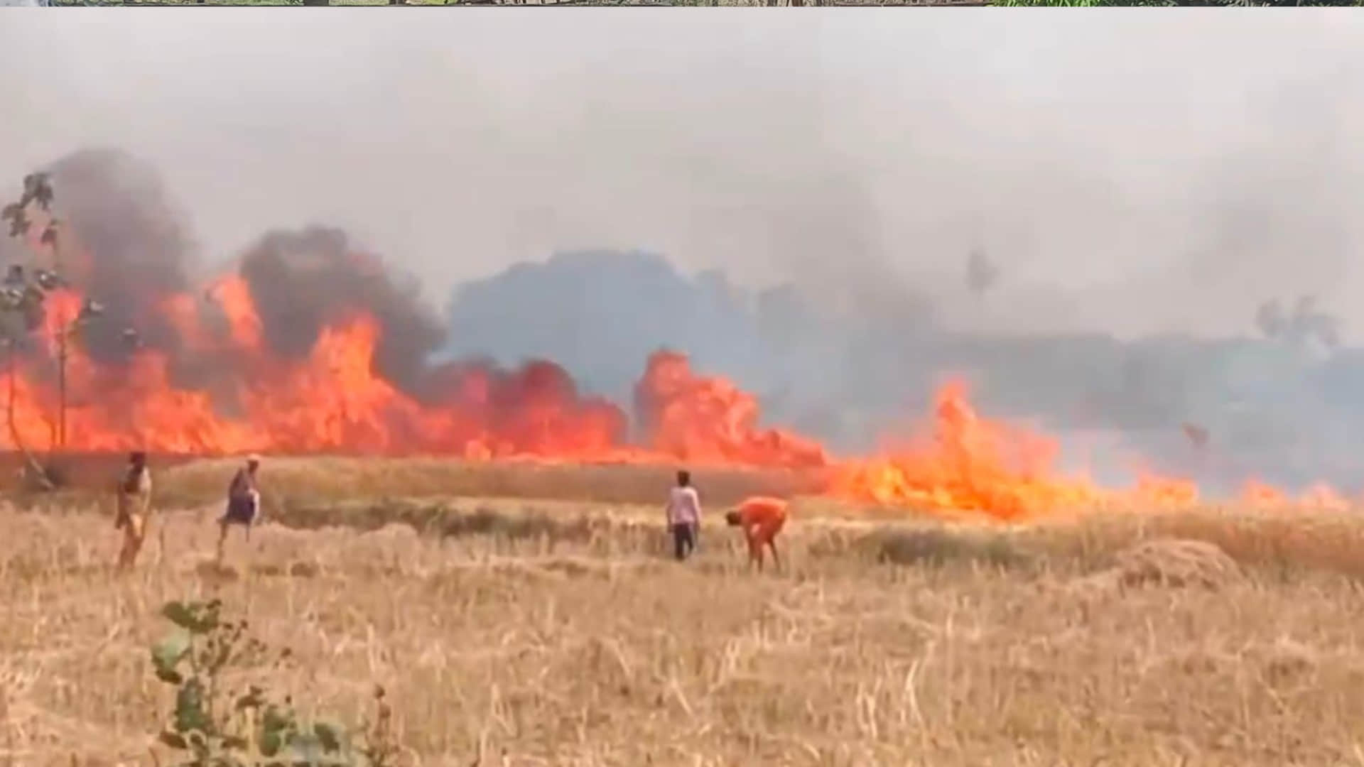 खेत में लगी आग