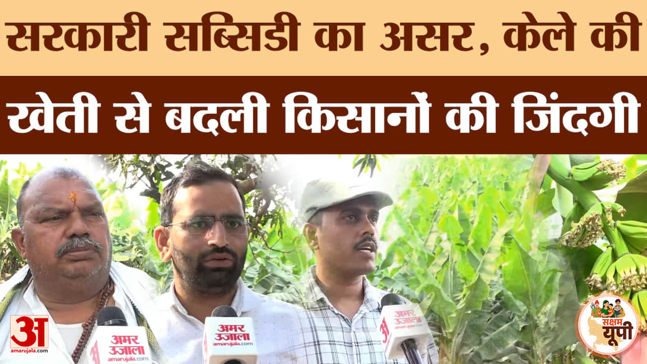 Ghazipur Ground Report:रेवतीपुर बना 'बनाना हब', तेजी से बढ़ी खेती...किसानों की आय में हुआ इजाफा