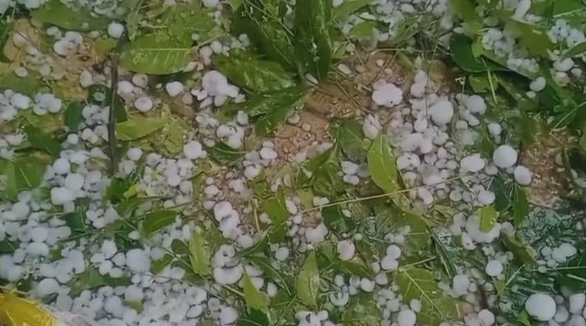 बेमौसम बारिश से किसानों की बढ़ी चिंता, ओले ने तोड़ी कमर।