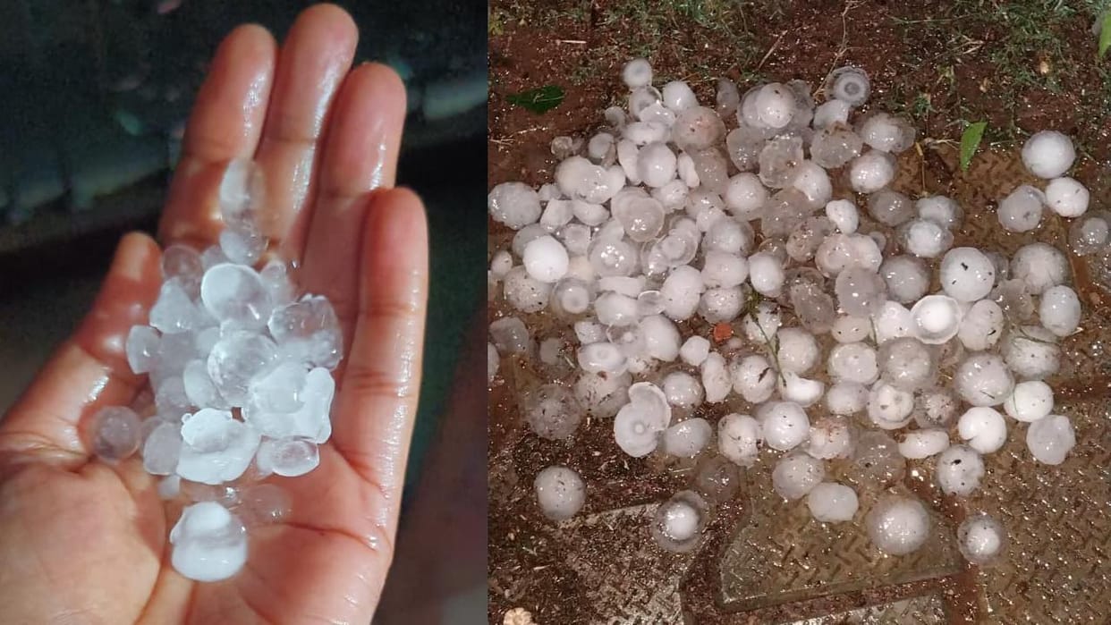 Lalitpur: Rain and hailstorm ruined the hard work of farmers, destroying crops again.