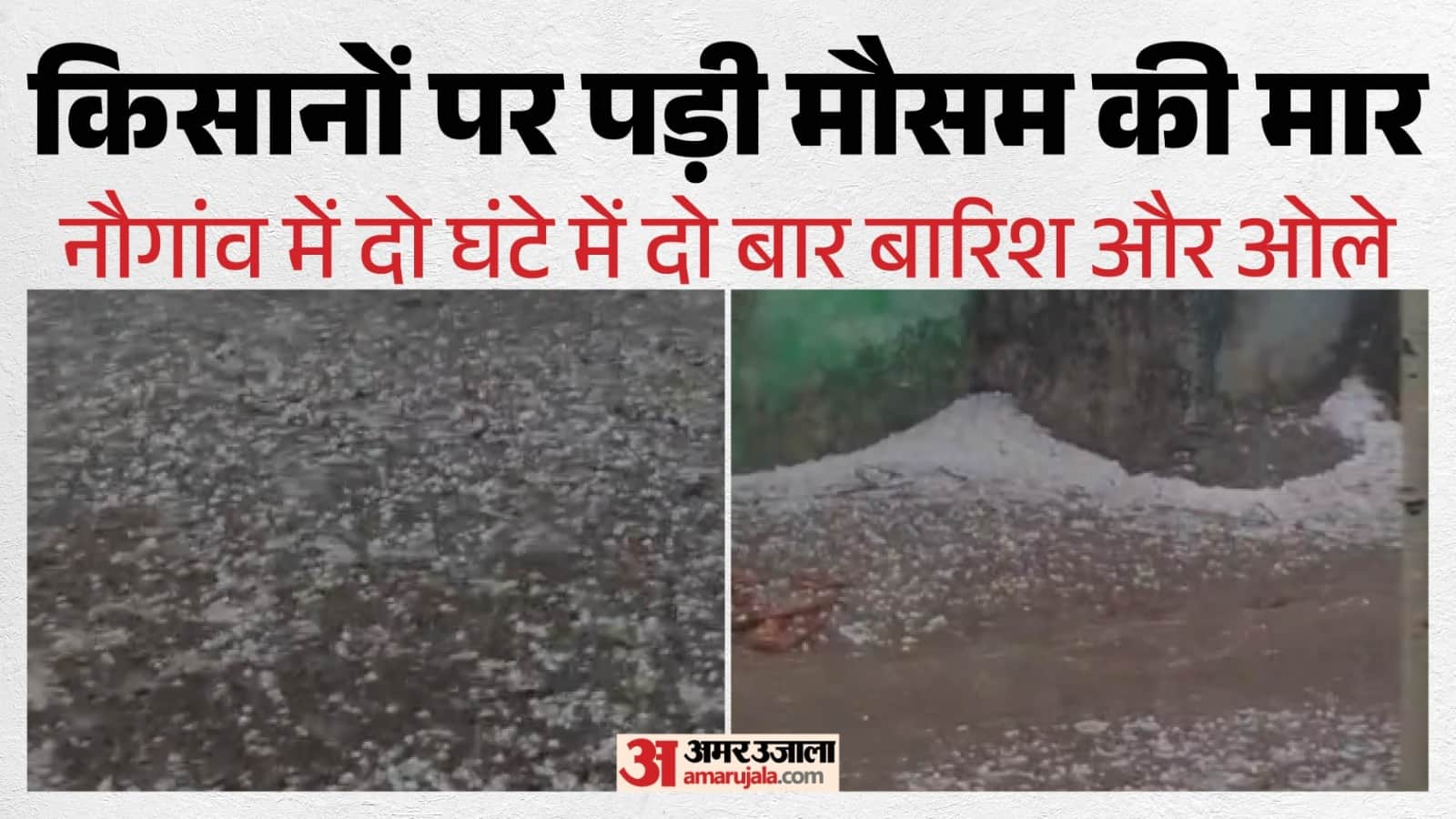 बारिश और ओलों ने किसानों को डाला संकट में।