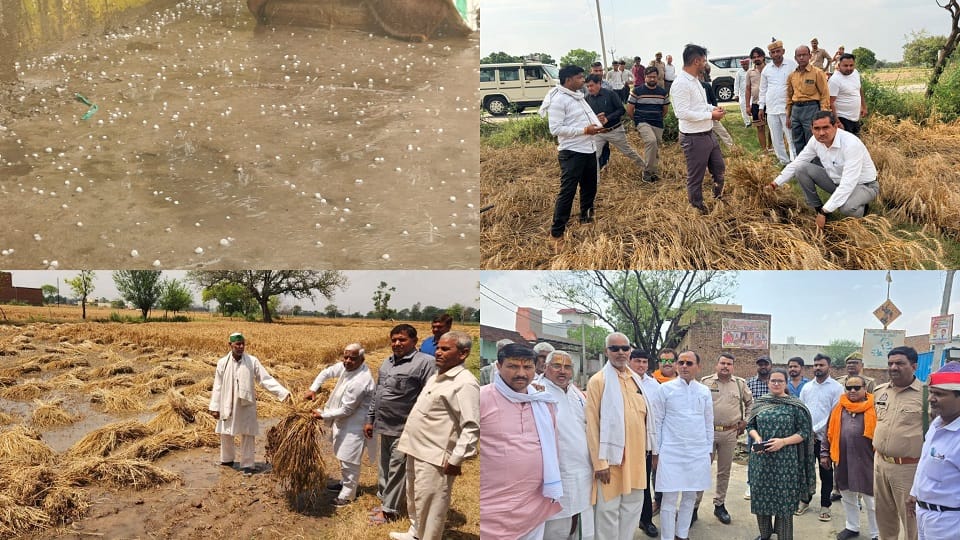 UP Weather Hail falls along with rain in Mathura