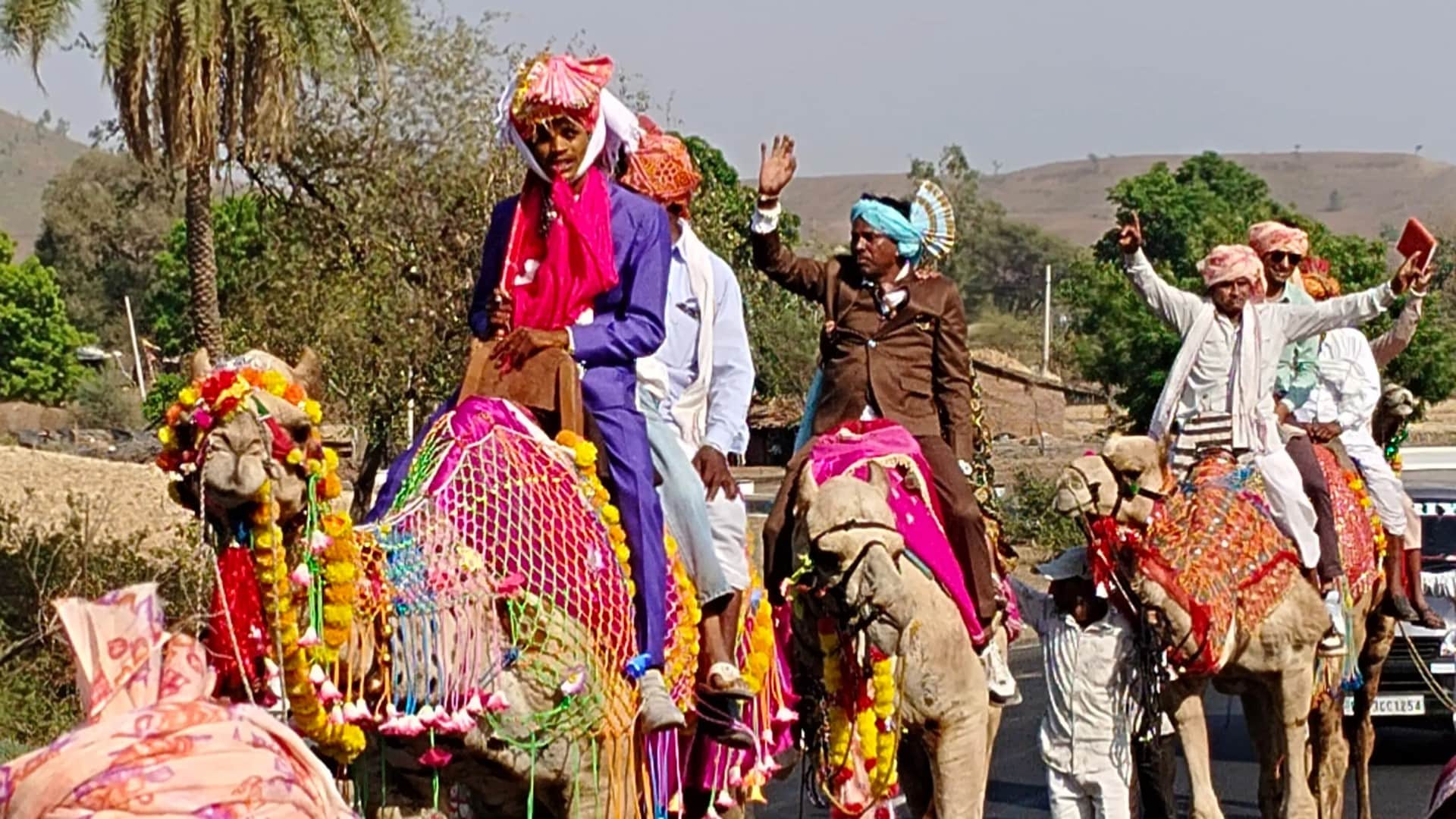 Groom and Wedding Procession Guests Rode on Adorned Camels; Photos of Unique Wedding in Banswara
