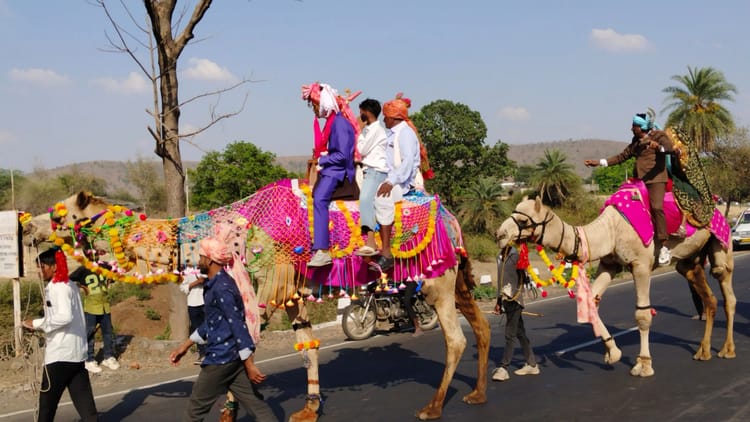 रेगिस्तान के जहाज पर निकली बारात: दूल्हे-बाराती सजे-धजे ऊंटों पर थे सवार, बांसवाड़ा में अनूठी शादी की तस्वीरें