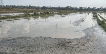 Jalaun Crops Suffer Heavy Damage Due to Hailstorm Nature's Fury Strikes Hundreds of Villages