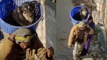 Man Was Riding The Injured Dog On His Back In Mountain Area With No Road Access