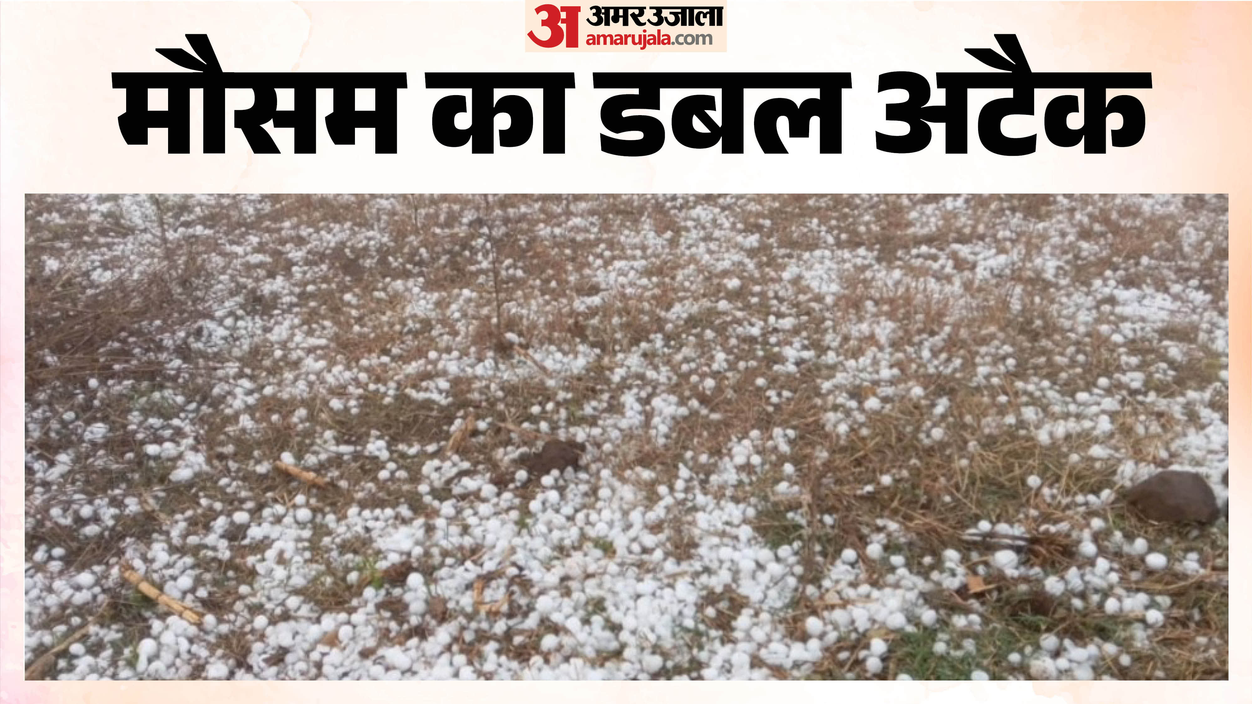 MP Weather Today: किसानों पर ओलों की मार, फसलें बर्बाद।