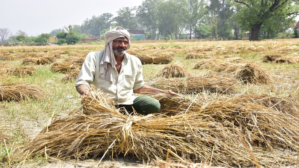 Importance of Farmer Identity Card