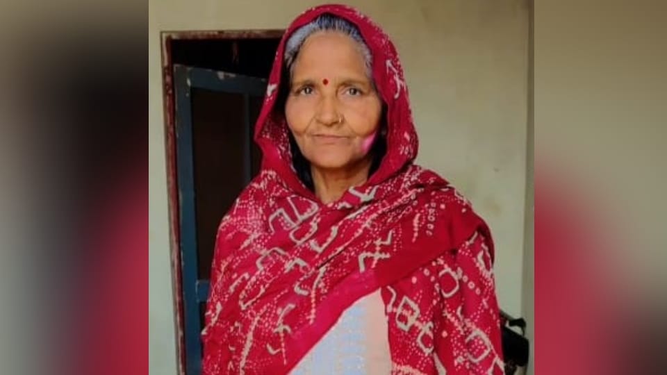UP: Stray dogs attacked a woman in Meerut, bit her badly and killed her