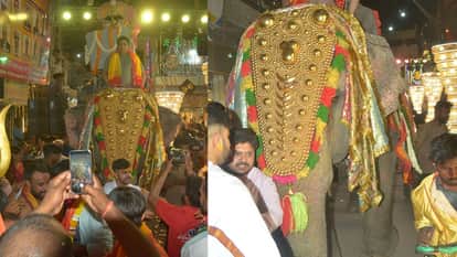 Elephants Used in Processions Are Being Subjected to Suffering