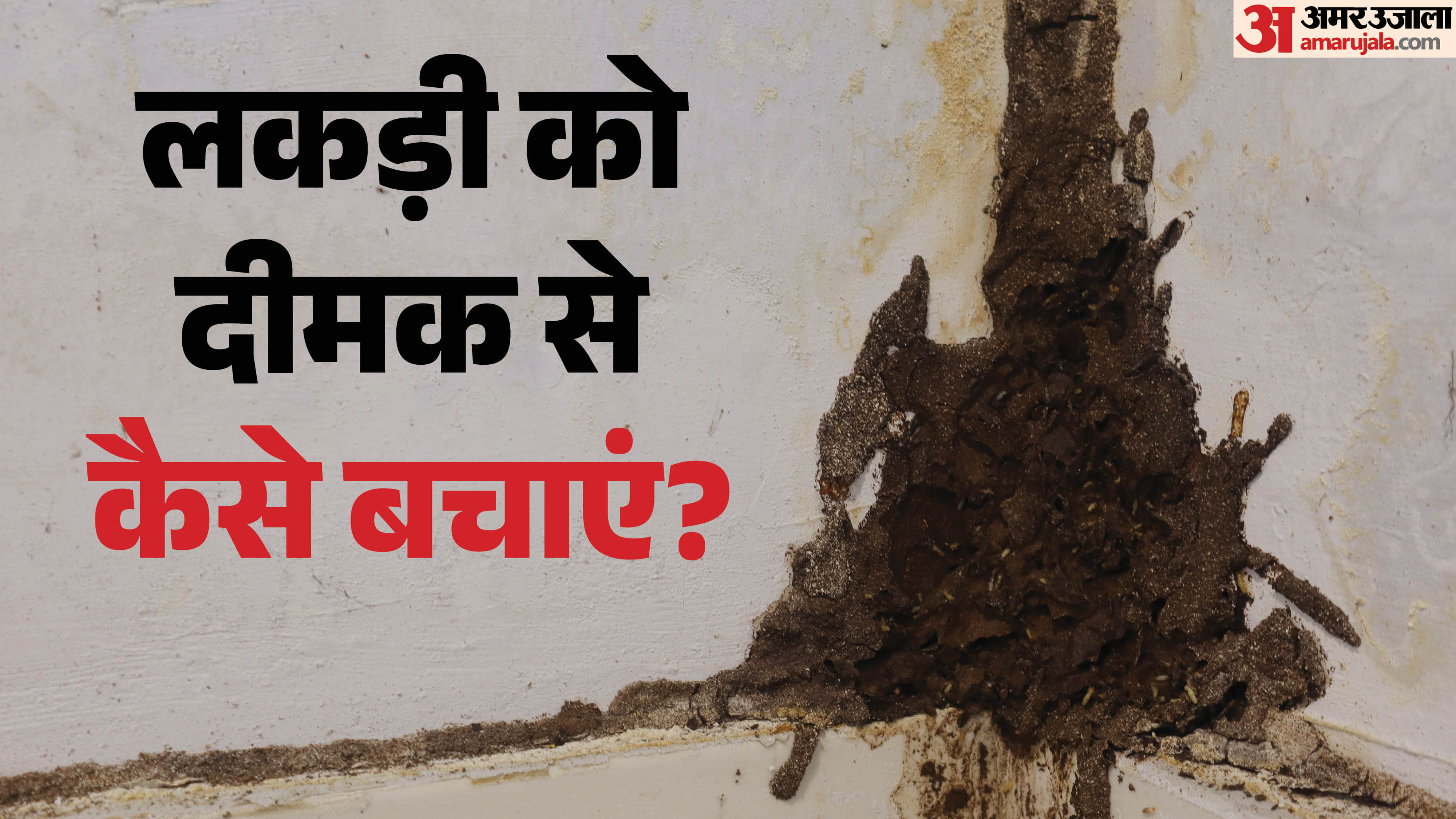 Furniture Care 4 Simple Hacks to Protect Your Wooden Furniture from Termites and Make It Last Longer