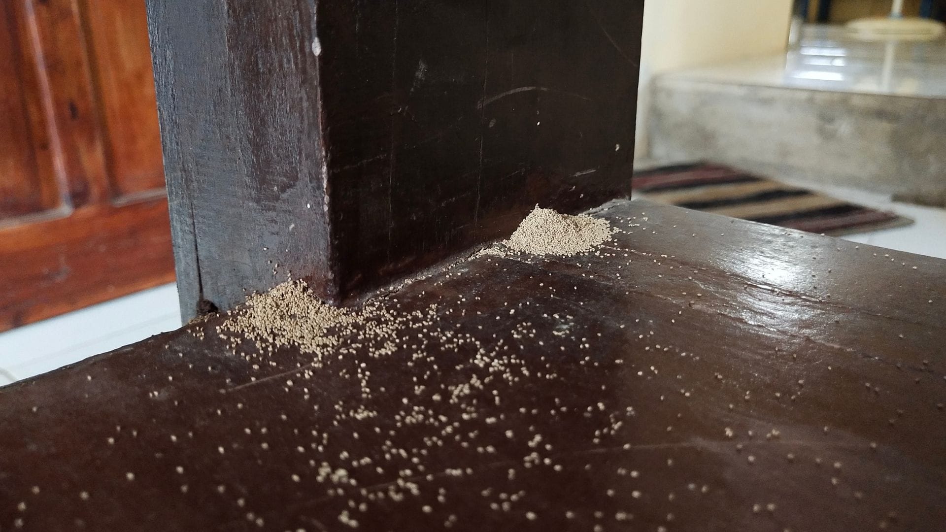 Why Do White Marks Appear on Wooden Furniture Avoid This Cleaning Mistake