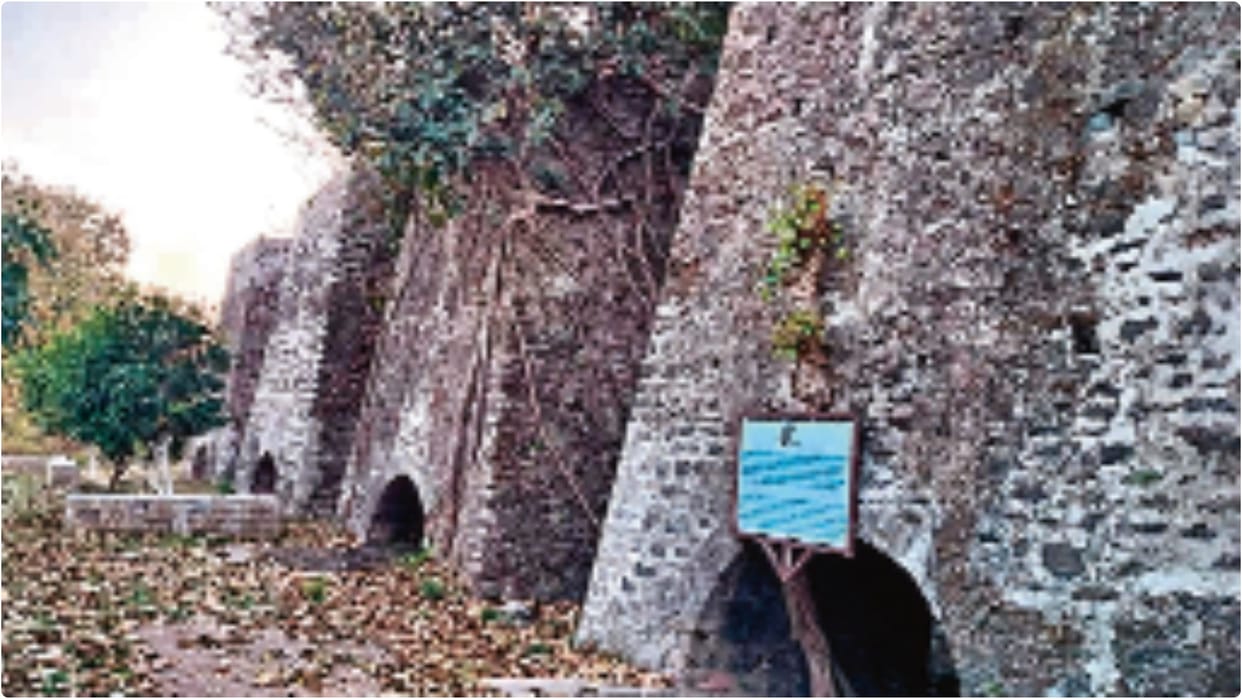Other side: Do you want iron or forests? How did the cutting of trees stop in Kaladhungi?