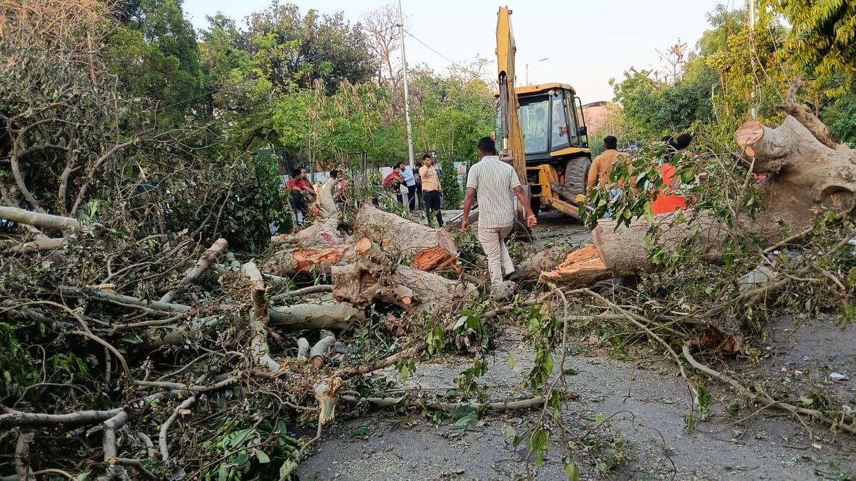 Kanpur civic teams clear fallen trees after storm, power and water issues persist