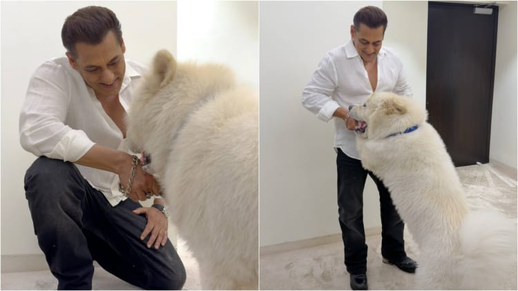 'मतलब भाईजान को नींद नहीं आती रात को'? सलमान खान ने देर रात किया पोस्ट तो बोले फैंस