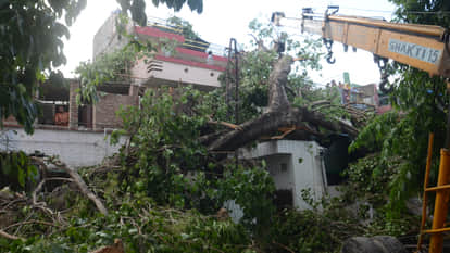 Kanpur: Roads Blocked by Trees; People Forced to Take a 2-Kilometer Detour for a Mere 50-Meter Stretch