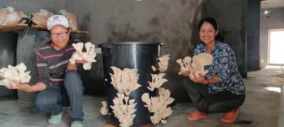 Ladakh entrepreneurs are giving a new direction to agriculture through mushroom farming.