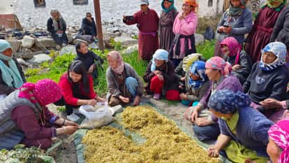 Ladakh entrepreneurs are giving a new direction to agriculture through mushroom farming.
