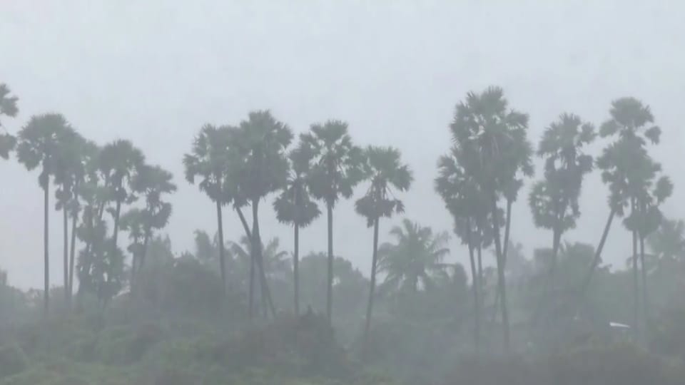 Weather Update: Drizzle Brings Relief From Heat, Temperature Drops as Weather Turns Pleasant