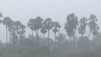 Weather Update: Drizzle Brings Relief From Heat, Temperature Drops as Weather Turns Pleasant