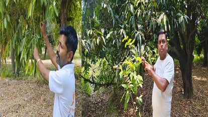 impact of weather on gardening