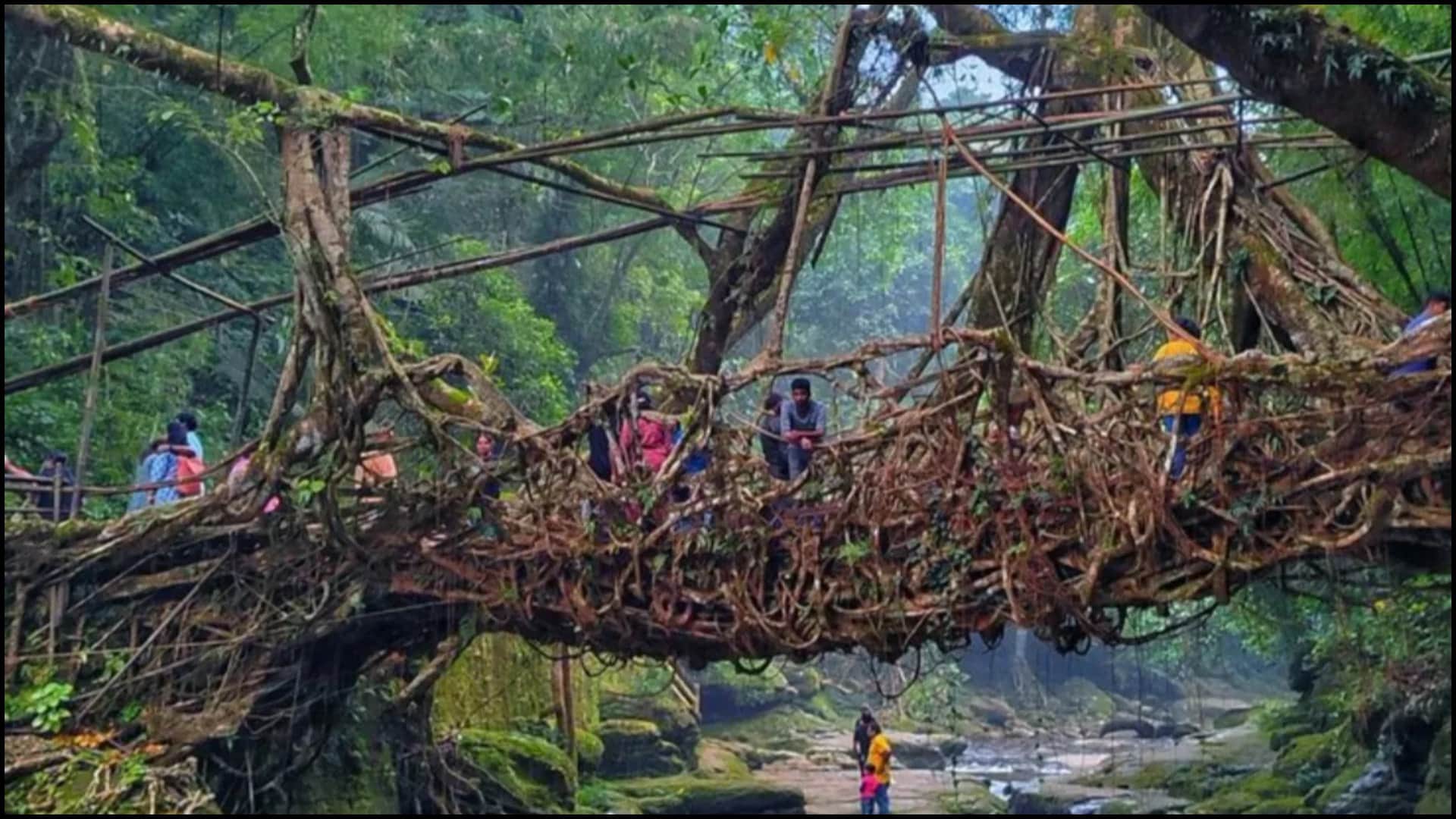 Eco Friendly Places In India Nature Destinations For Peaceful Travel