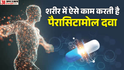 कैसे काम करती है पैरासिटामोल दवा?