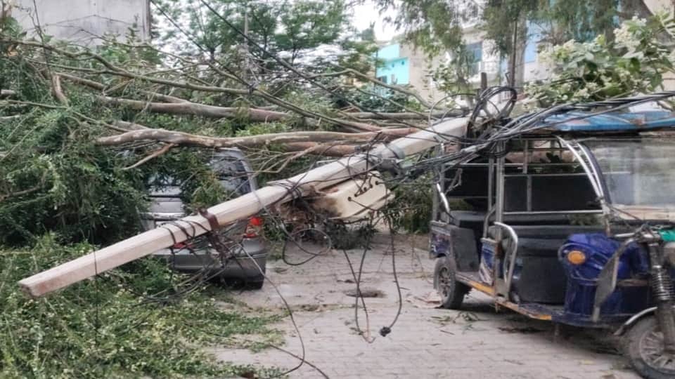 मुरादाबाद में ई रिक्शा और कारों में गिरे पेड़