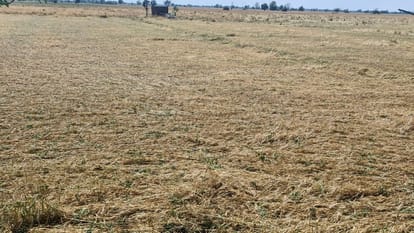 Western Disturbance Active in Punjab Alert for Rain and Hailstorms Over Two Days