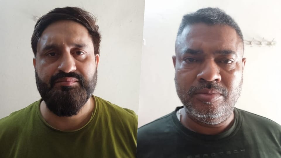 Two Accused Arrested in Case of Drunk and Negligent Driving and Assault