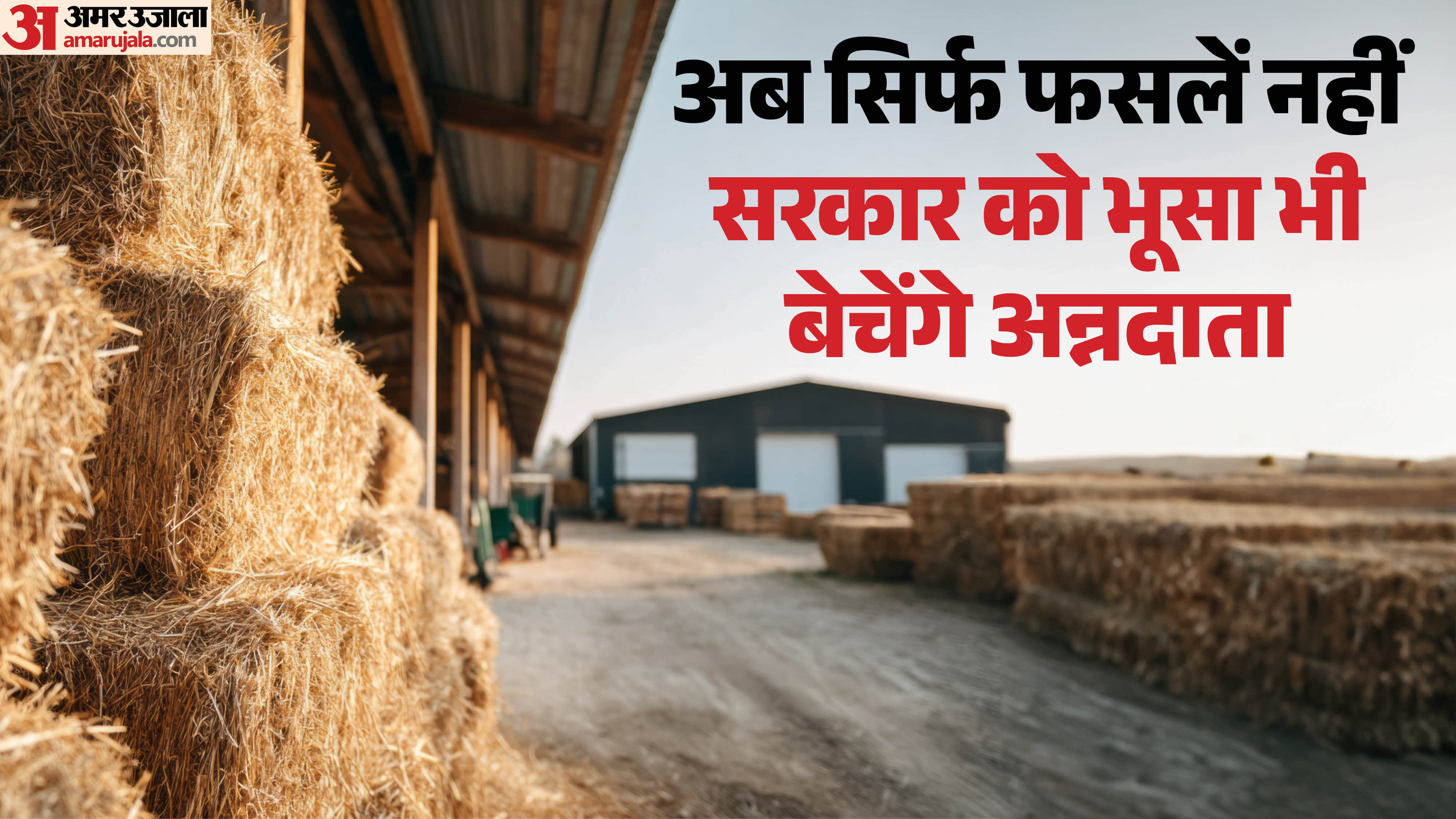 UP Farmers Bonus: Yogi Government to Directly Purchase Hay Bhusa for Gaushalas to Boost Rural Income