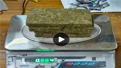 Ganja worth ₹96 lakh seized from a passenger in Punjab who was smuggling it hidden inside sweet boxes