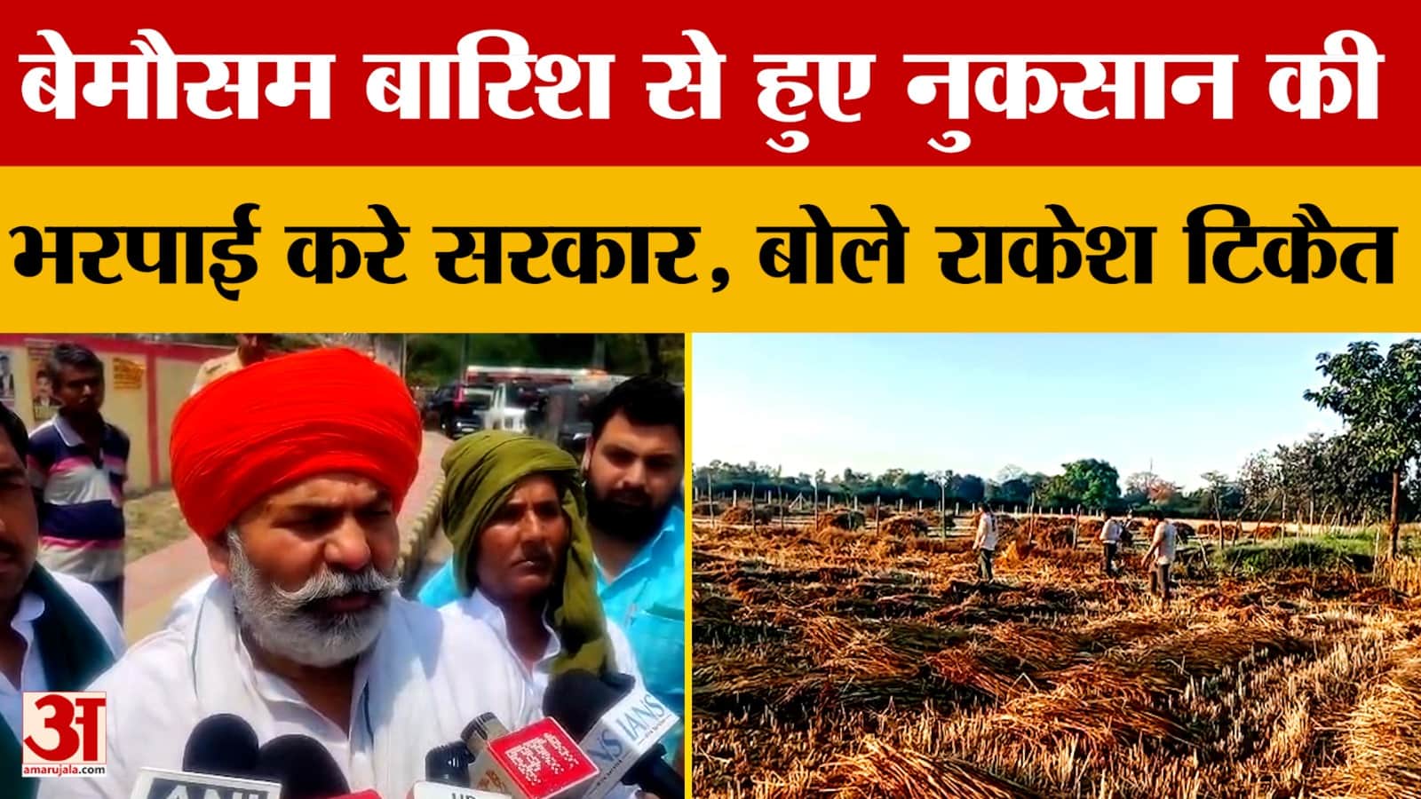 बेमौसम बारिश से हुए नुकसान की भरपाई करे सरकार, बोले राकेश टिकैत