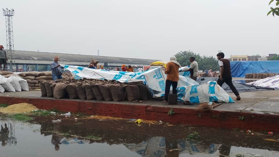 Heavy rain in Haryana Today Weater Cold Weather due to Rain Temperature Fall