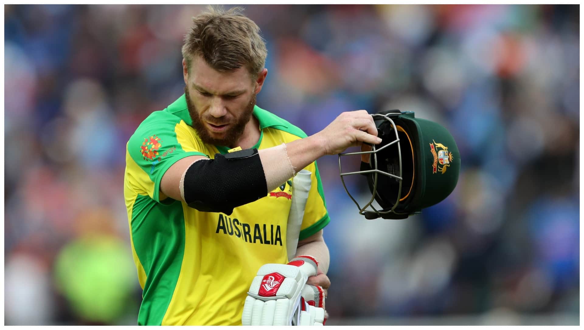 David Warner Admits Drinking Wine Before Driving; Faces Charges in Drink-Driving Case