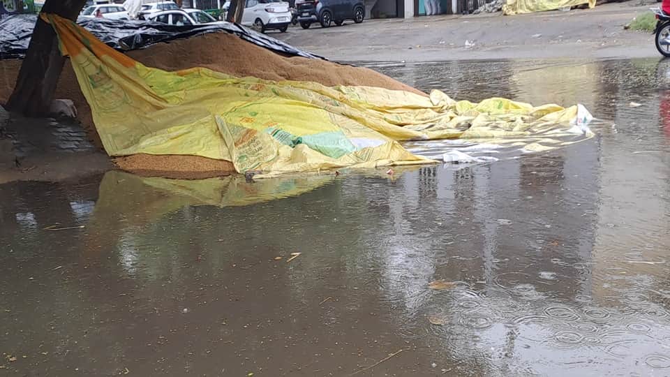 Heavy rain in Haryana Today Weater Cold Weather due to Rain Temperature Fall