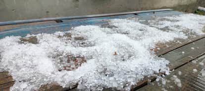 Weather Changes in Meerut: Rain and Hailstorm Cause Heavy Crop Damage