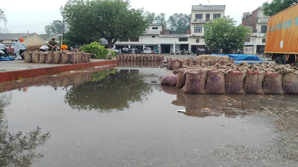 Heavy rain in Haryana Today Weater Cold Weather due to Rain Temperature Fall