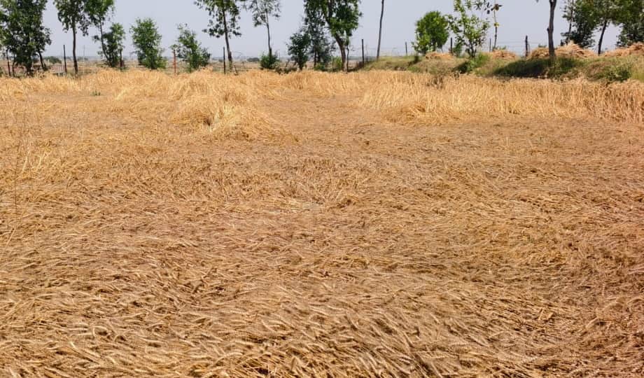 Prayagraj Weather: Strong sunshine during the day and clouds in the evening