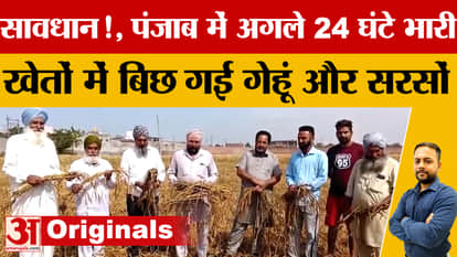 Punjab Weather: Rain and hailstorm affect crops in Punjab, orange alert issued in 17 districts