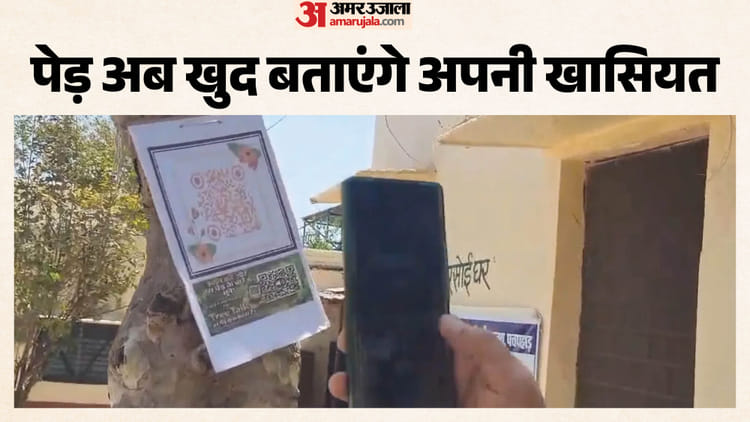 Rajasthan News: क्यूआर कोड स्कैन करते ही ‘बोलने’ लगे पेड़, झालावाड़ के स्कूल की इस पहल ने बदली पढ़ाई की तस्वीर