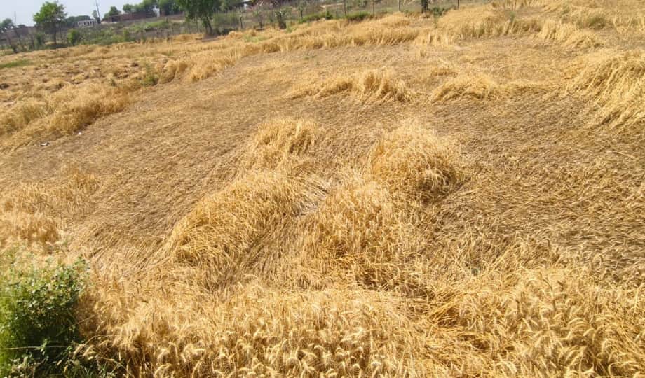 Prayagraj Weather: Strong sunshine during the day and clouds in the evening